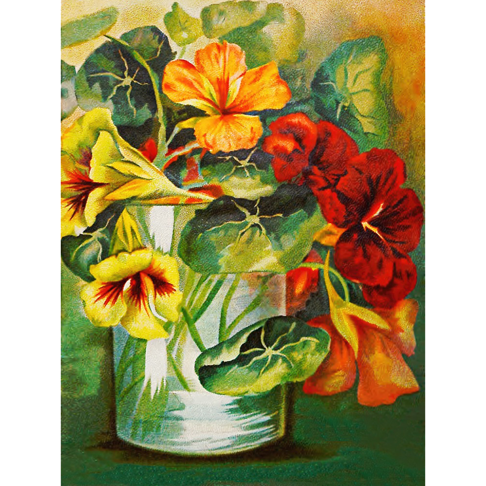 Vintage Floral Minis