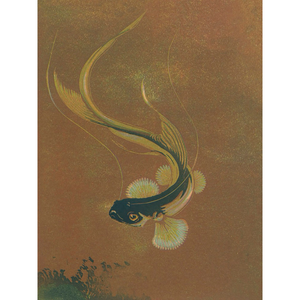 ◇ Curated Nature Set