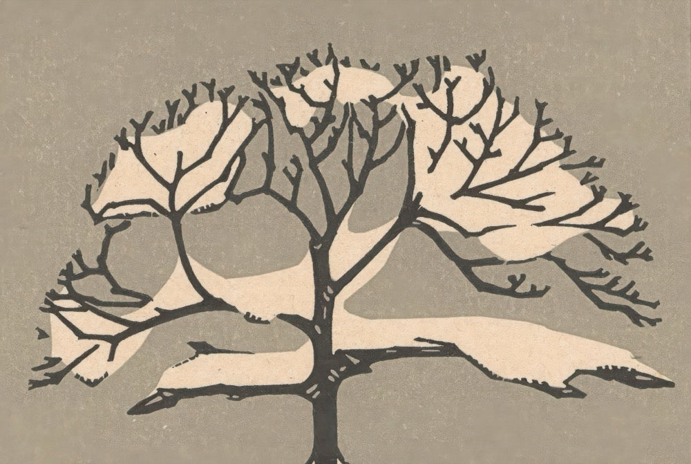 ◇ Curated Nature Set