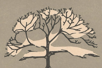 ◇ Curated Nature Set