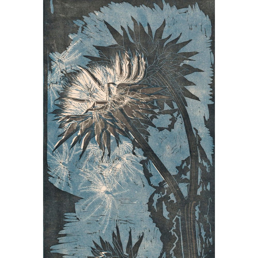 ◇ Curated Nature Set