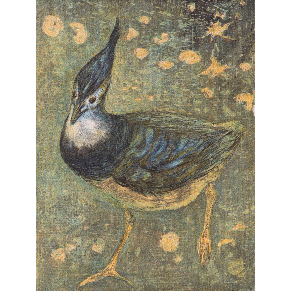 ◇ Curated Nature Set