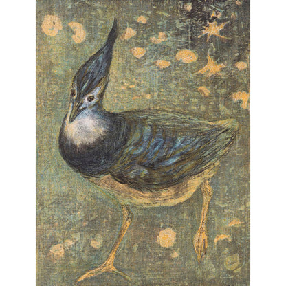 ◇ Curated Nature Set