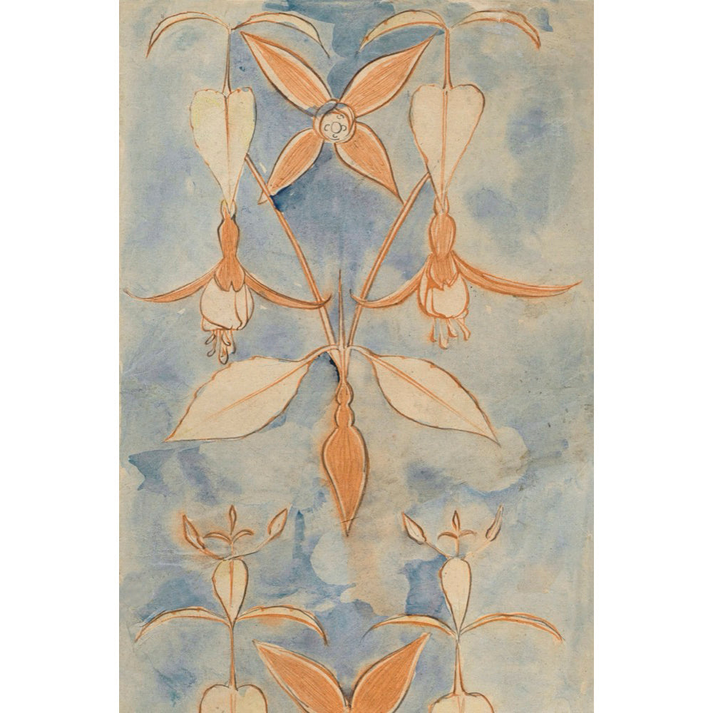 ◇ Curated Nature Set