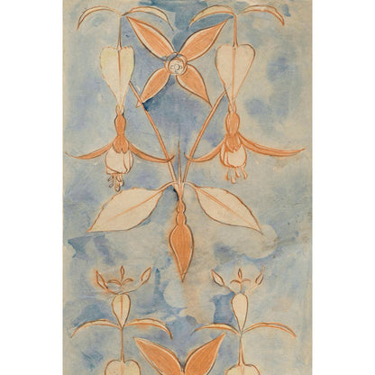 ◇ Curated Nature Set