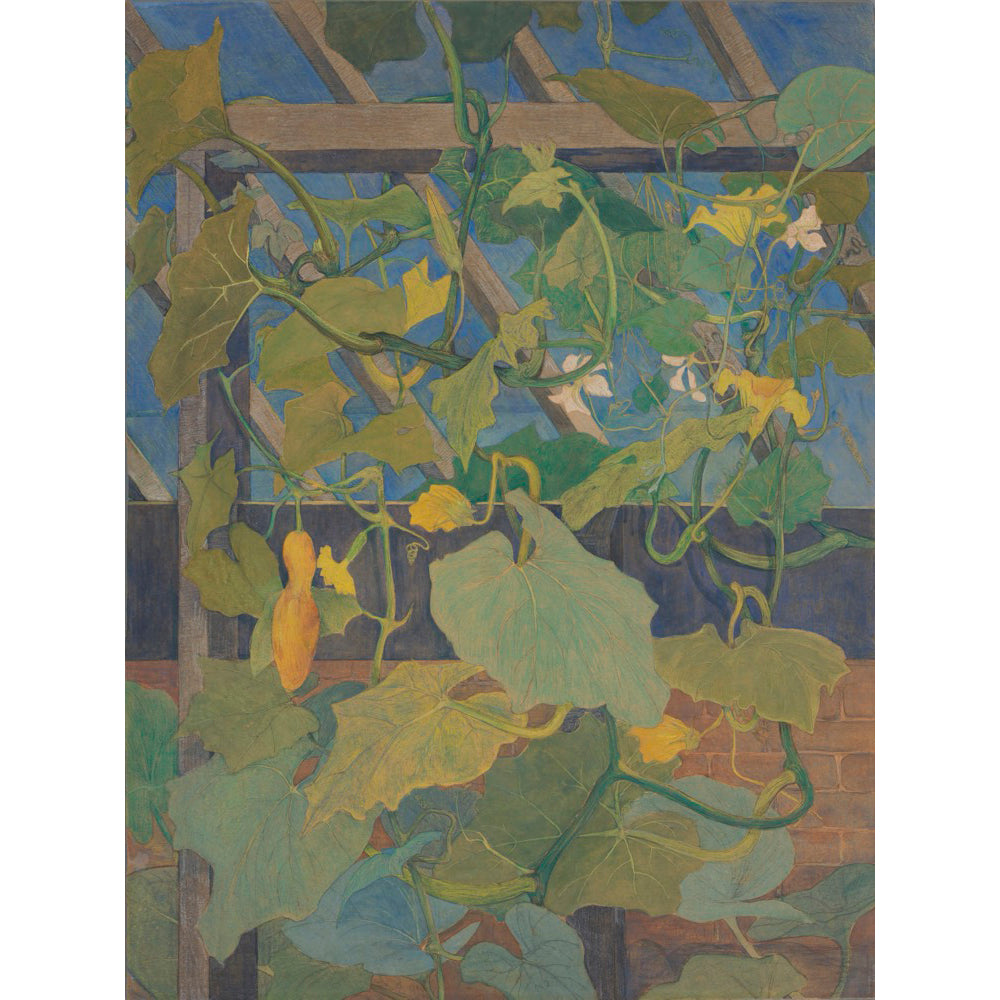 ◇ Curated Nature Set