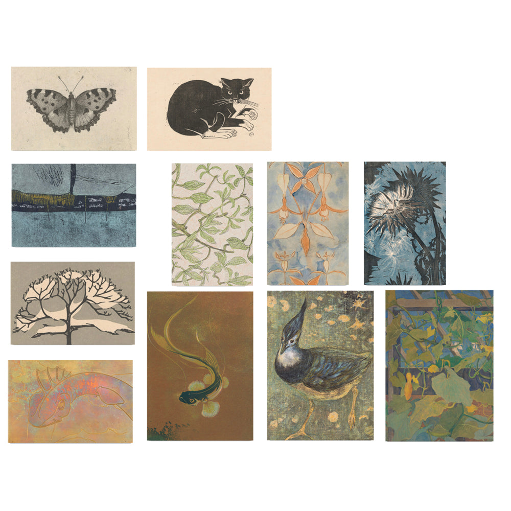 ◇ Curated Nature Set