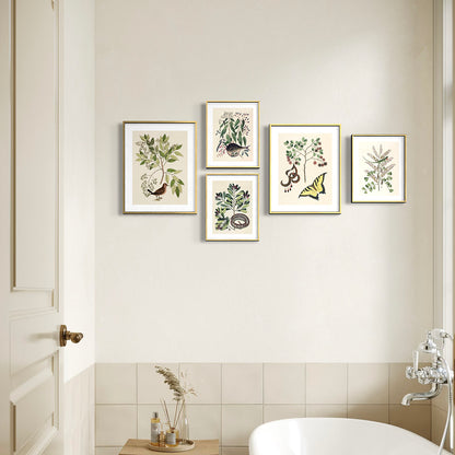 ◇  New World Naturalist - Set of 5 Prints