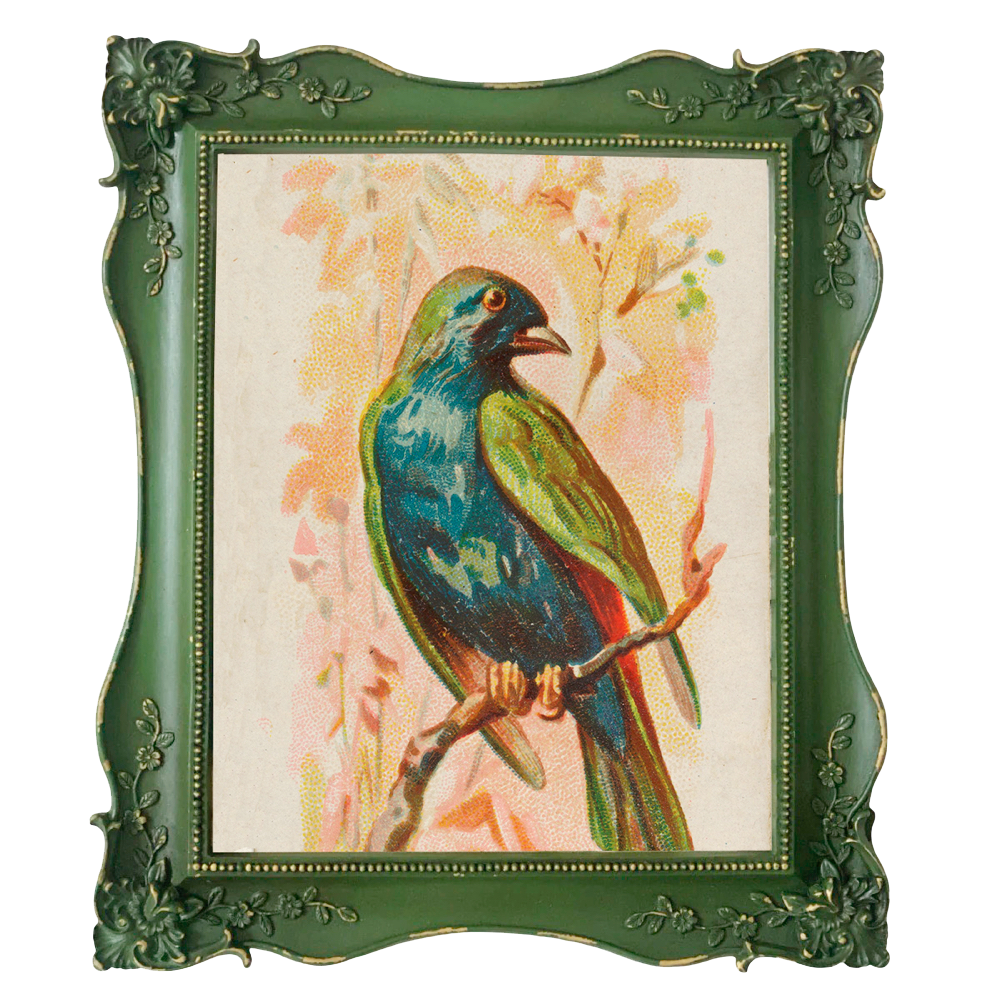 Verdant Press Frame - last few items