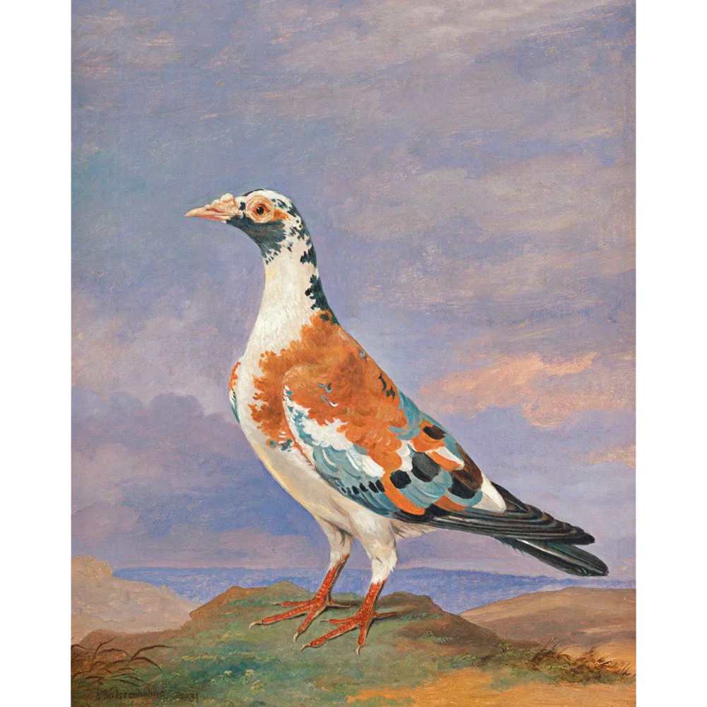 ◆ Pigeon Pairing - Set of 2