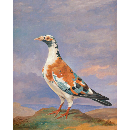 ◆ Pigeon Pairing - Set of 2