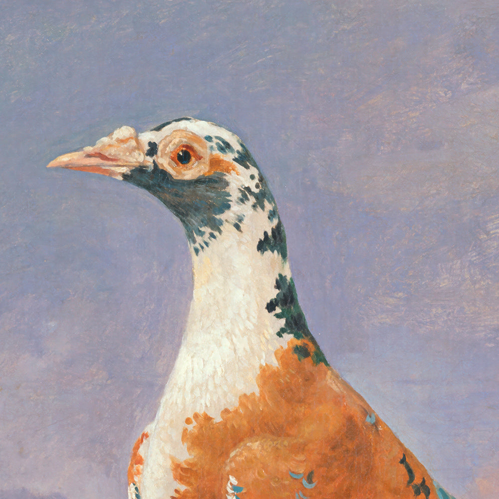◆ Pigeon Pairing - Set of 2