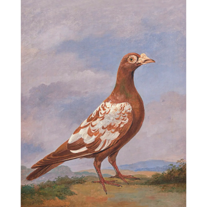 ◆ Pigeon Pairing - Set of 2