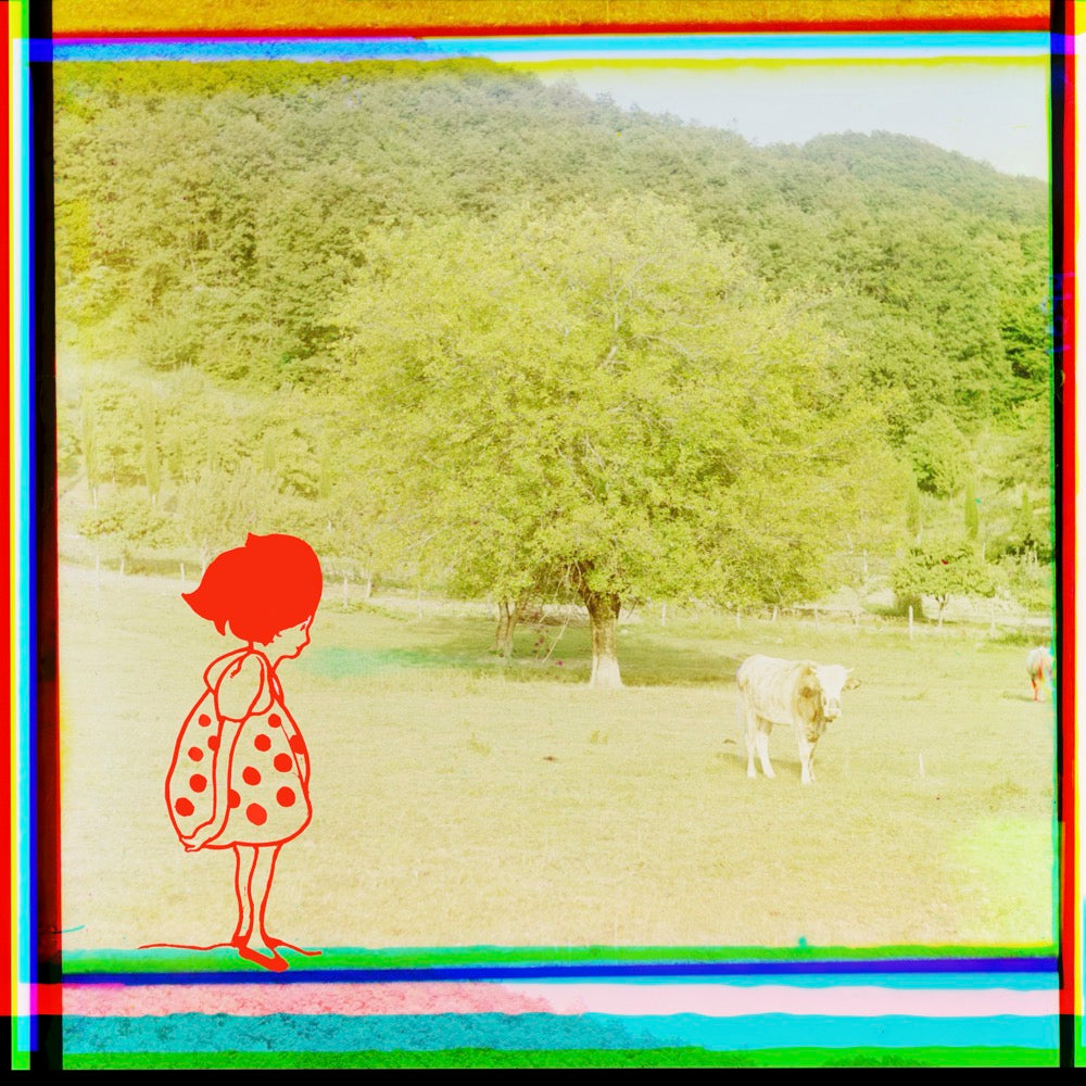 ◆ Polka