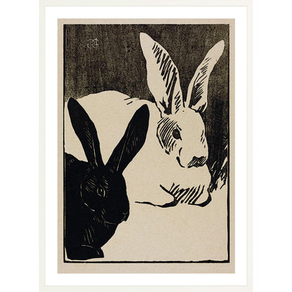 Rabbits
