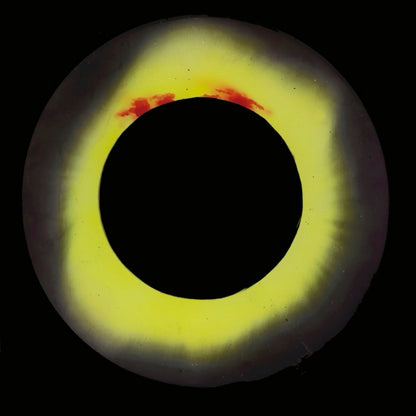 ◇ Sermons In Light Series - 8x8