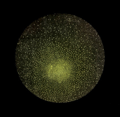 ◇ Sermons In Light Series - 8x8