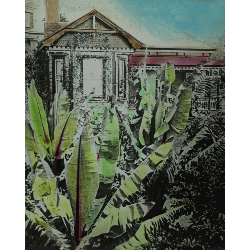 ◇ Sermons In Light Series - 8x10