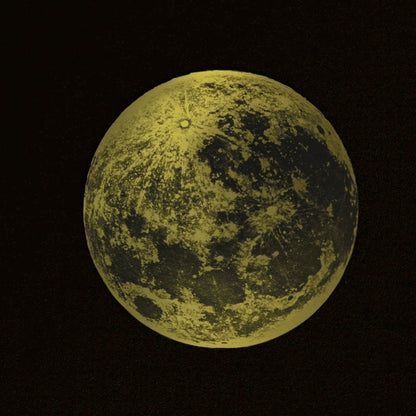 ◇ Sermons In Light Series - 8x8