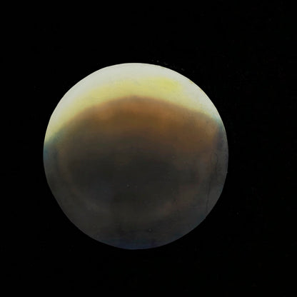 ◇ Sermons In Light Series - 8x8