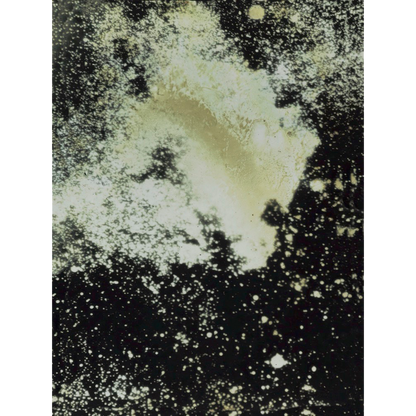 Sermons In Light Series - 6x8