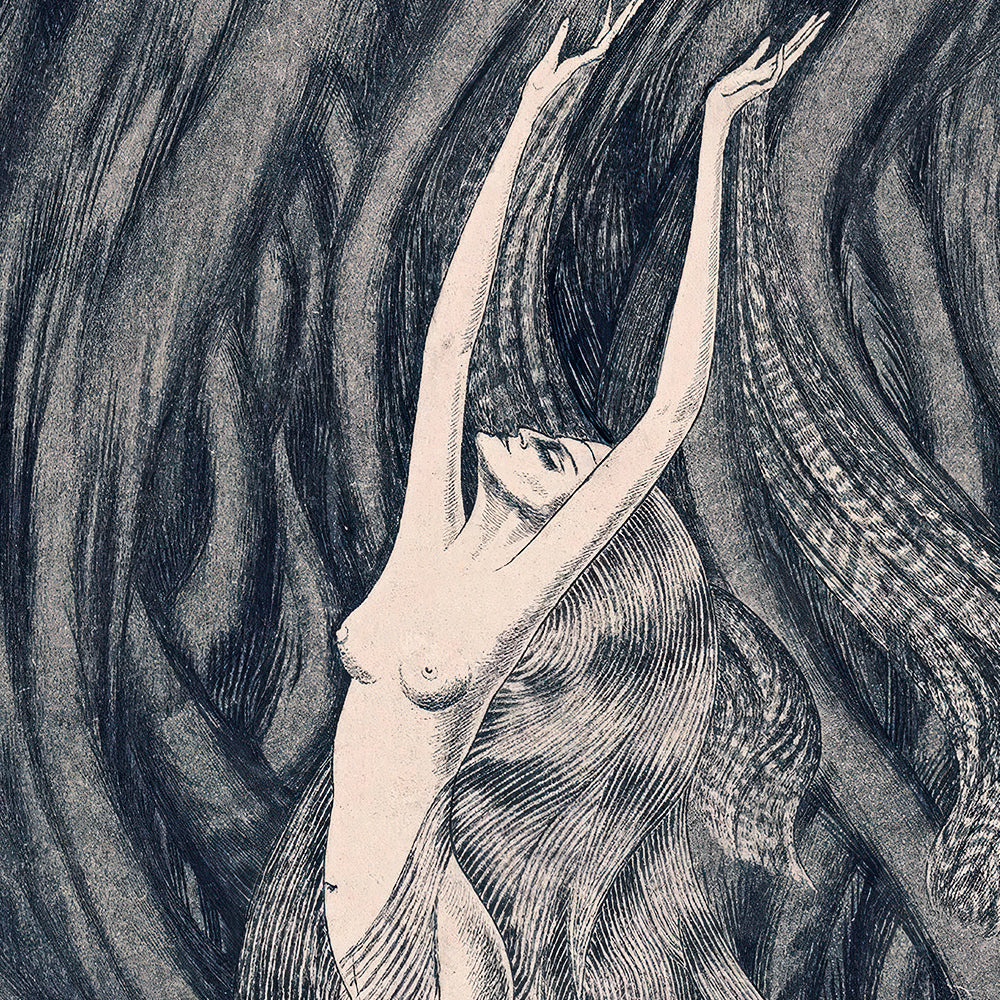 ◇ The Spirit Of The Wind