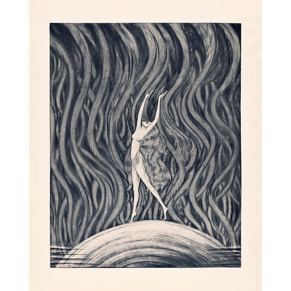 ◇ The Spirit Of The Wind