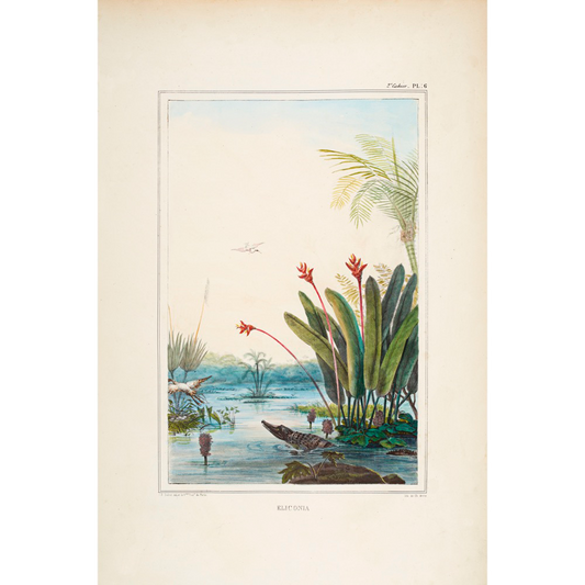 Tropical Riverbank with Caiman