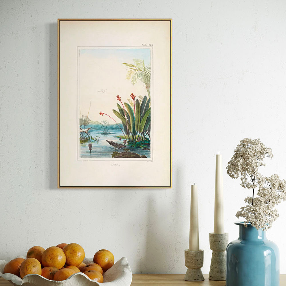 ◇ Tropical Riverbank with Caiman