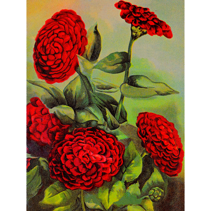 Vintage Floral Minis