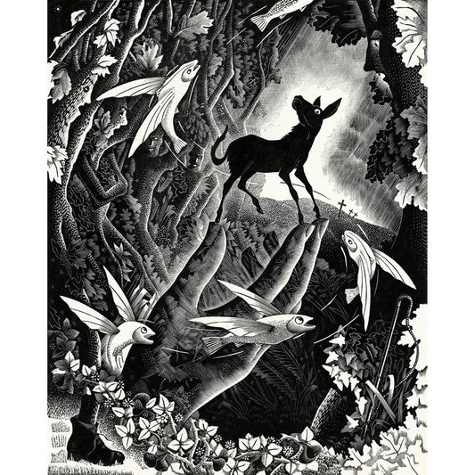 ◇ The Donkey