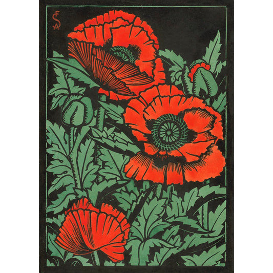 ◇  Study of Poppies