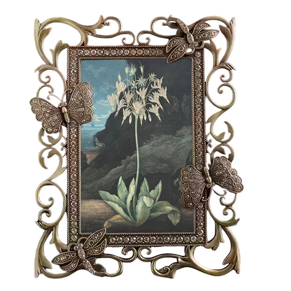 Elegance in Bloom: Art Nouveau Butterfly Frame