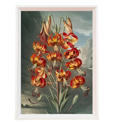 Organic Wood Hues Frame